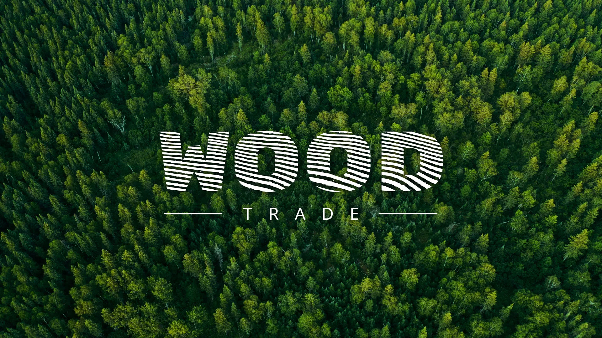 Разработка интернет-магазина компании «Wood Trade» в Гатчине